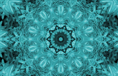 Wie geht`s mit BNE? Ein Leitfaden für die Integration von BNE-Bildungsangeboten in die Weiterbildung